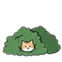 Orange Cat MayC Creation 03