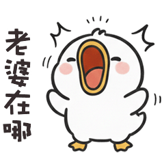 ( °⊖ ° ) 小白鴨老婆在哪