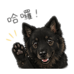 Heymei_20260422203318