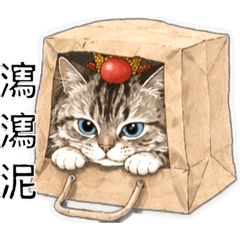 貓米茶日常-生活語