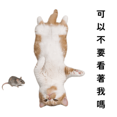 花生馬吉與胖胖虎之有情睡月