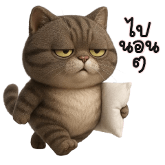 Tubby cat so anoyying