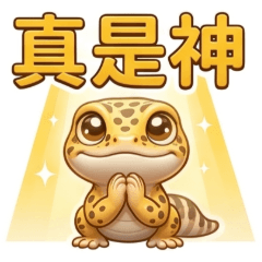 QQ守宮☆生活實用貼圖1