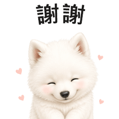 薩摩耶犬可愛回覆貼圖