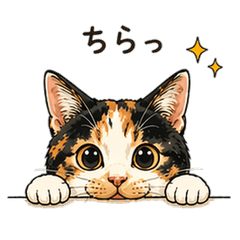 Calico Cat Nana-sama