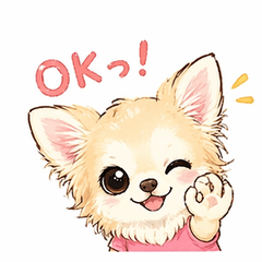 Funny Chihuahua Maron