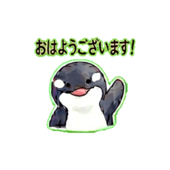 Yurukawa Orca: Daily Life