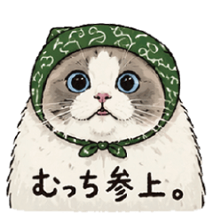 Mucchi Arrives! Everyday Stickers