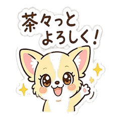 Chacha the Chigi Quick Reactions(p)