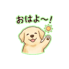 kotetu - Daily Chat Stickers