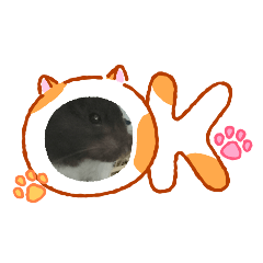 Toeyhom_20260423113531