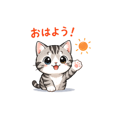 Fluffy Tabby Everyday Phrases