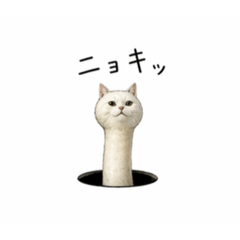 hiroro_20260423133507