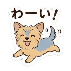 Cute & Gentle Yorkshire Terrier