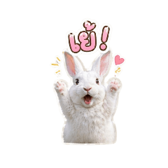 Ploykhwan_20260423114706