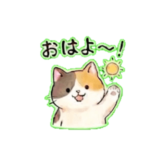 Daily Chat Stickers.