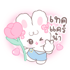กระต่ายพิ้งคุ ใช้ได้ทุกวัน