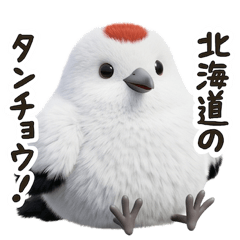 Let Me Introduce Japan's Birds!