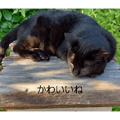 souta_20260419172135