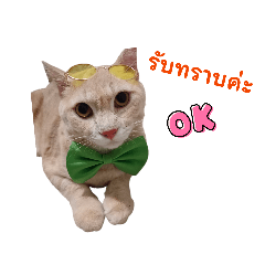 abcdefg_20260422163434