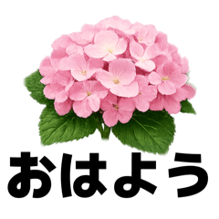 Rainy Season Hydrangea Stickers