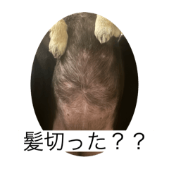 chimaki_20260419175455