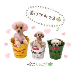 hikhimmama_20260424012815