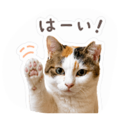 ramune_20260423131106