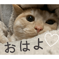 ohshima_20260423131309
