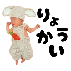 hachi_20260423133107