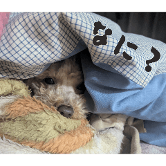 aMe_toudou_20260423162324