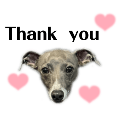 Freddie_20260423163543