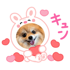 latte.tira_20260423162426