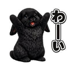 TOLLY_20260423164111