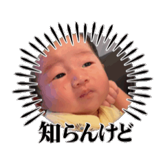 tsutsuco_20260423180910