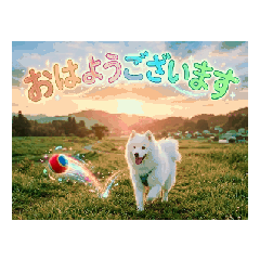 pursuer_20260423203322