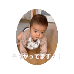 Rashid_20260424083303