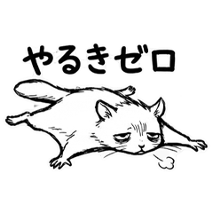 Emaciated Flying Squirrel