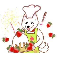 puti kuma_20260423133042