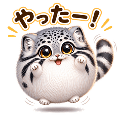 Fluffy Round Pallas's Cat