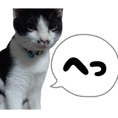 Huyu1604_20260423133346