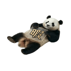 Kanji & Panda with Acrylic Plate