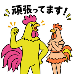 Determined Chickens: Give It Your All!