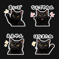 Osaka Slang Black Cat Stickers
