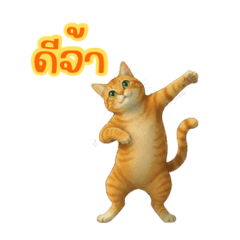 Ginger cat - emotional and sweet version