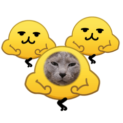 芝麻口味地瓜球