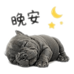 波比的日常貼圖