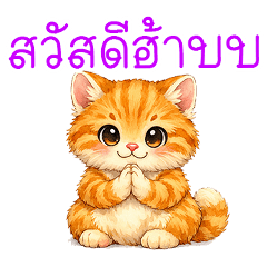 Mellow Orange Cat