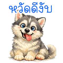 Mellow Siberian Husky