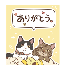 skyline733_20260423140907